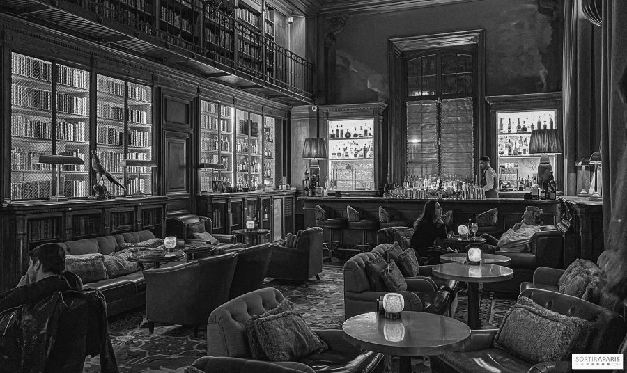 La bibliothèque et son bar